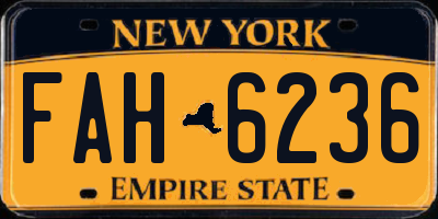 NY license plate FAH6236
