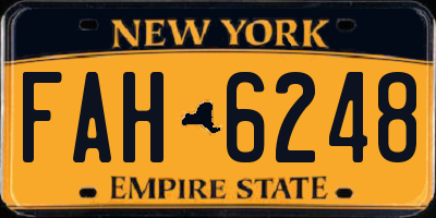 NY license plate FAH6248