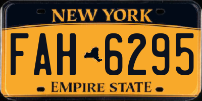 NY license plate FAH6295