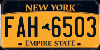 NY license plate FAH6503