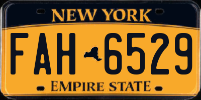 NY license plate FAH6529