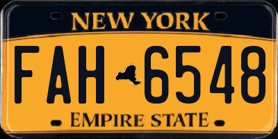 NY license plate FAH6548