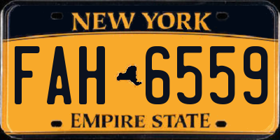 NY license plate FAH6559