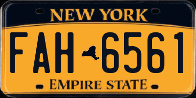 NY license plate FAH6561