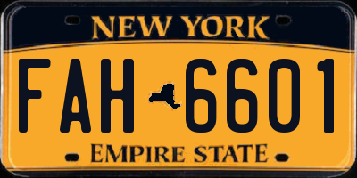 NY license plate FAH6601