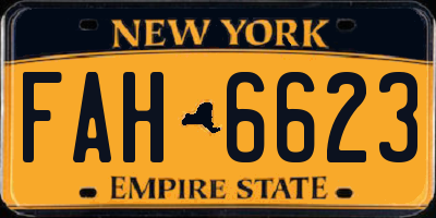 NY license plate FAH6623