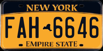 NY license plate FAH6646