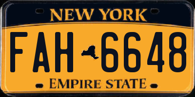 NY license plate FAH6648