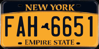NY license plate FAH6651