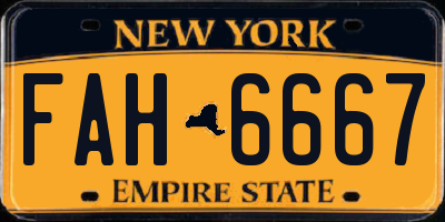 NY license plate FAH6667