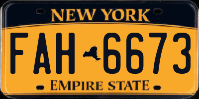 NY license plate FAH6673