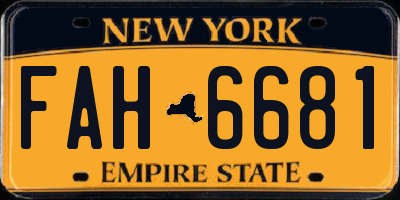 NY license plate FAH6681