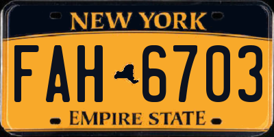 NY license plate FAH6703