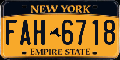 NY license plate FAH6718