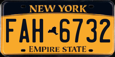 NY license plate FAH6732