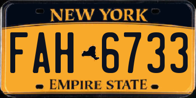 NY license plate FAH6733