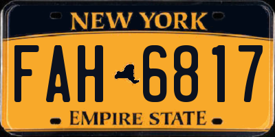 NY license plate FAH6817