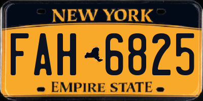 NY license plate FAH6825