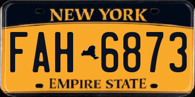 NY license plate FAH6873