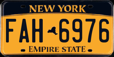 NY license plate FAH6976