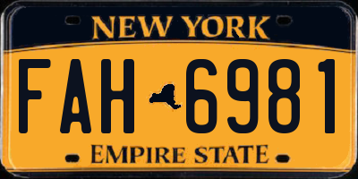 NY license plate FAH6981