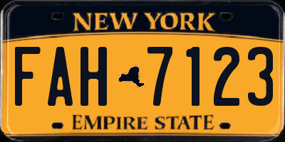 NY license plate FAH7123