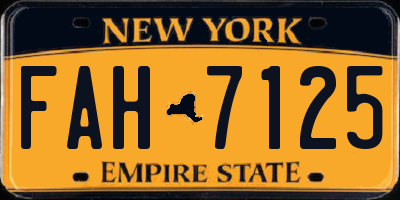 NY license plate FAH7125