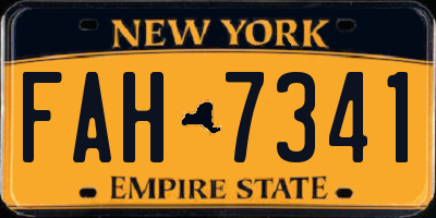 NY license plate FAH7341