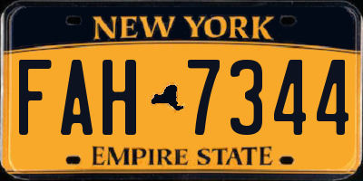 NY license plate FAH7344