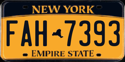 NY license plate FAH7393