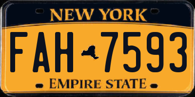 NY license plate FAH7593