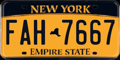 NY license plate FAH7667