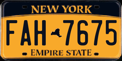 NY license plate FAH7675