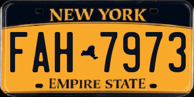 NY license plate FAH7973
