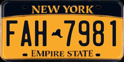 NY license plate FAH7981
