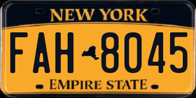 NY license plate FAH8045