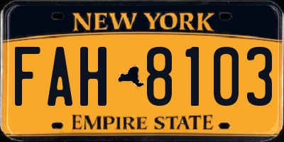 NY license plate FAH8103