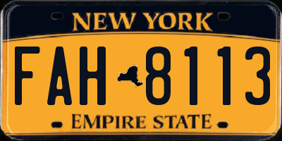 NY license plate FAH8113
