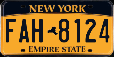 NY license plate FAH8124