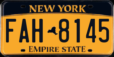 NY license plate FAH8145