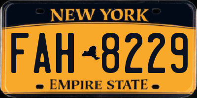 NY license plate FAH8229