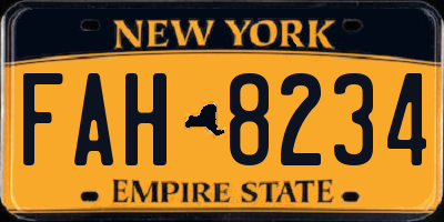 NY license plate FAH8234