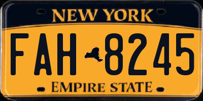 NY license plate FAH8245