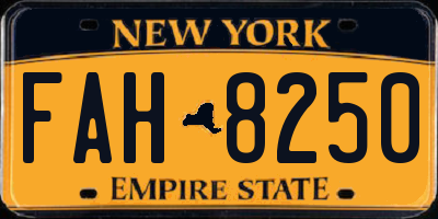NY license plate FAH8250