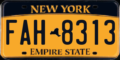 NY license plate FAH8313