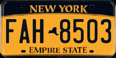 NY license plate FAH8503