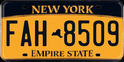 NY license plate FAH8509
