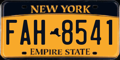 NY license plate FAH8541