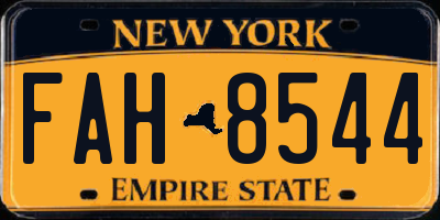 NY license plate FAH8544