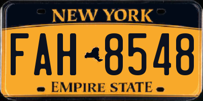 NY license plate FAH8548